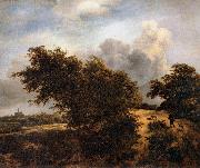 RUISDAEL, Jacob Isaackszon van The Thicket oil on canvas